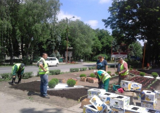 cvetne_leje_ispred_opstine_9_20150602_2039822975